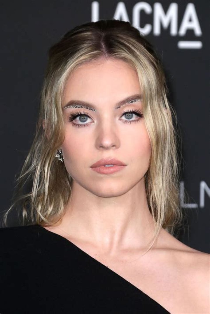 Sydney Sweeney LACMA Art+Film Gala, Arrivals, Los Angeles, California, USA - 05 Nov 2022 Wearing Giambattista Valli