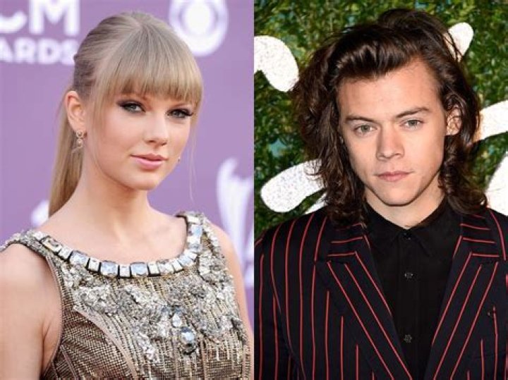 Taylor Swift Harry Styles Relationship Fake