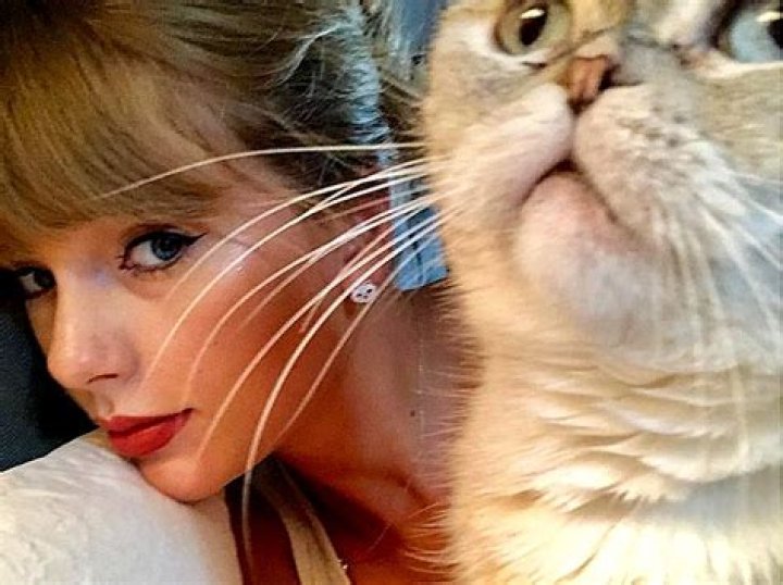 Taylor Swift with cat Olivia Benson Taylor Swift out and about, New York, America - 16 Sep 2014 Taylor Swift leaving home with her cat in New York