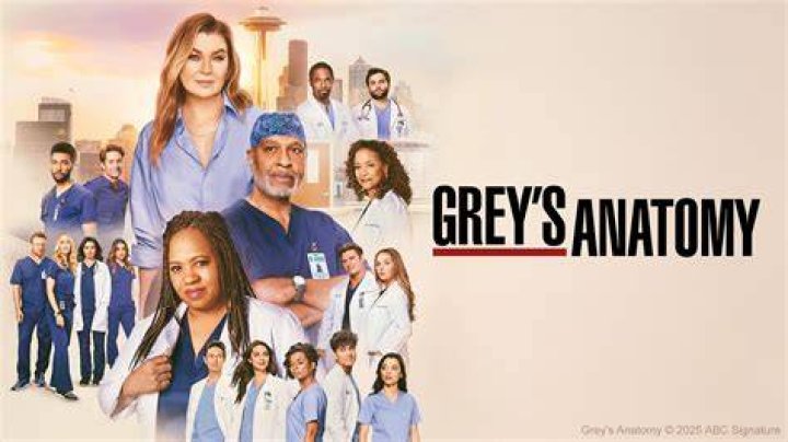 The ‘Grey’s Anatomy Connection Between Two Co-Stars – Hollywood Life
