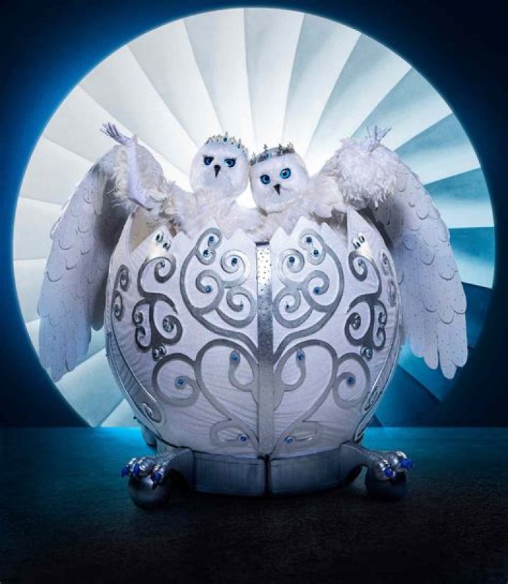The Masked Singer Snow Owls Recap FOX