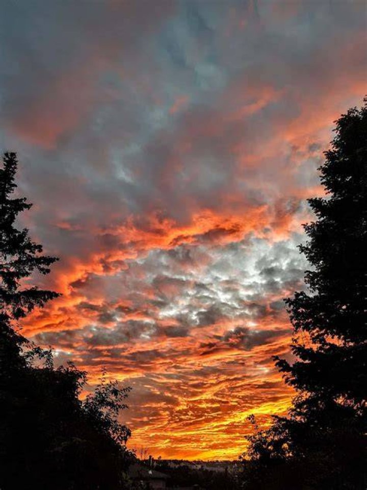 The Moët Sunset