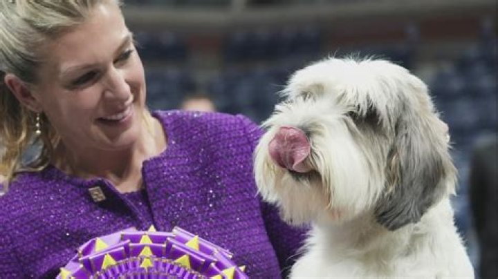 Thor The Bulldog Wins Best In Show – Hollywood Life
