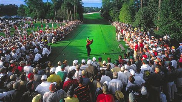 Tiger Woods At The 2010 Ryder Cup