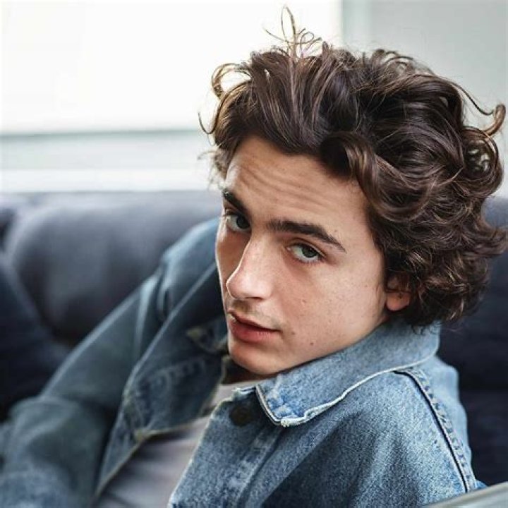 Timothee Chalamet at The French Dispatch premiere