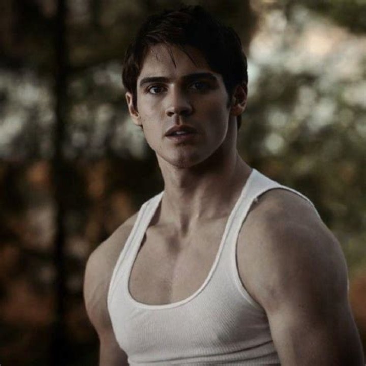 Vampire Diaries Jeremy Leaves