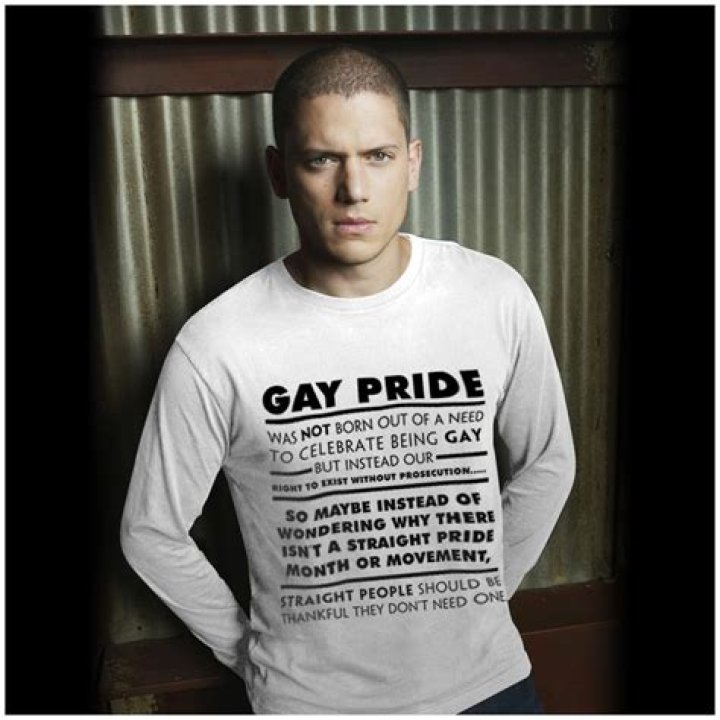 Wentworth Miller Gay