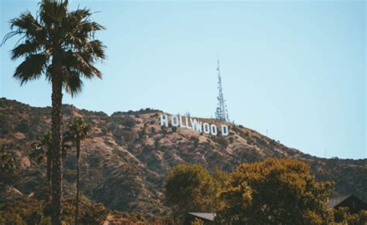 What To Expect & More – Hollywood Life