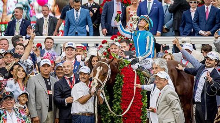 Who Is Mage? Find Out About The Horse That Won The 2023 Kentucky Derby – Hollywood Life