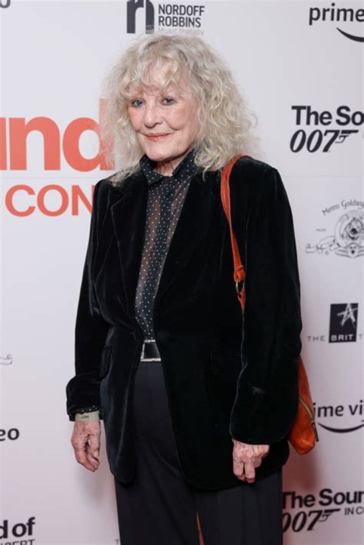 Who Is Petula Clark? 5 Things About British ‘Downtown’ Singer – Hollywood Life