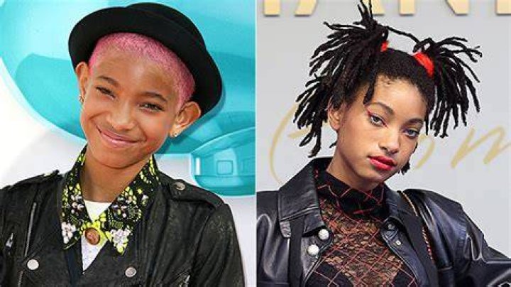 Willow Smith’s Hair Makeover: She Shaves Her Head (Again) — Before & After Pics