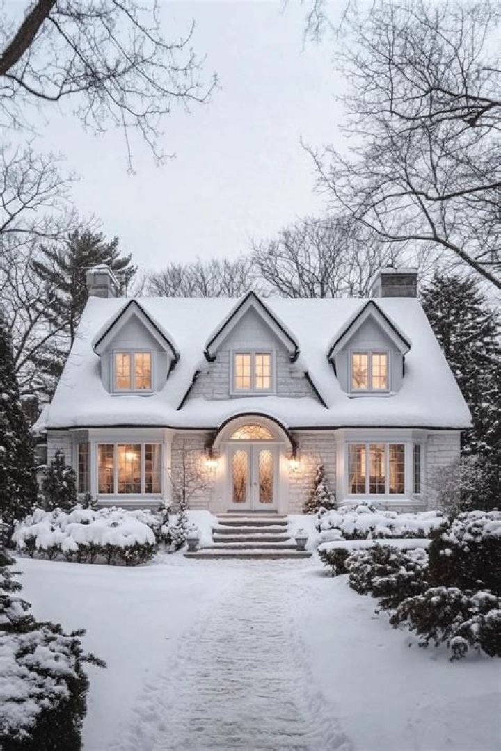 Winter House
