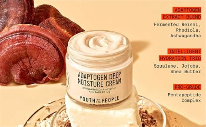Youth To The People Adaptogen Deep Moisture Cream, $58, YouthToThePeople.com