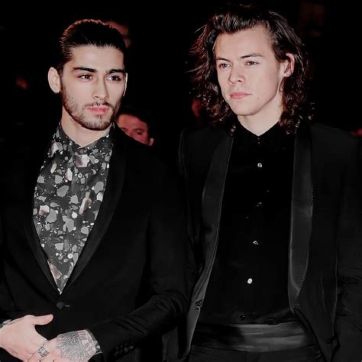 Zayn Malik Loves Harry Styles